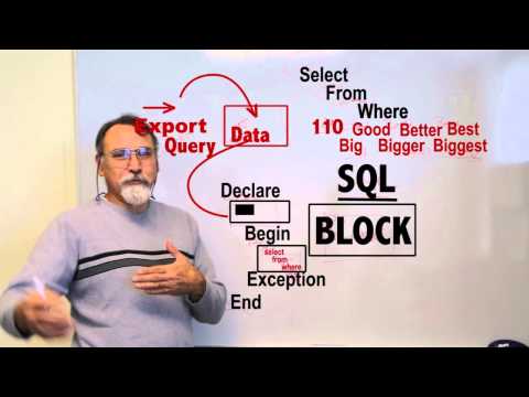 Competency 2   Manipulate Data in PL/SQL  ITSE1345