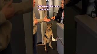 talking about Games issues/bgmi 90 vs 120 #funny #Lowenddeviceplayer#sadforlowenddevice#ytsjorts