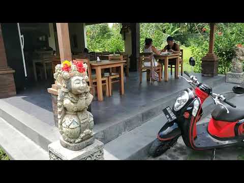 Walking to Our Next Villa Ubud