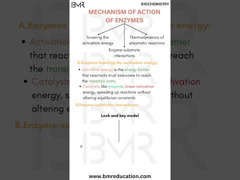 Mechanism of action of enzymes | Enzymology | Biochemistry