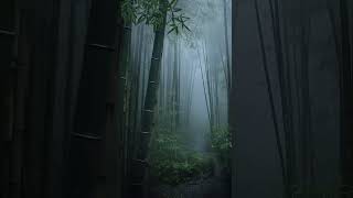 Stormy Night in the Misty Forest 🌧️ | Intense Rain & Wind for Deep Calm