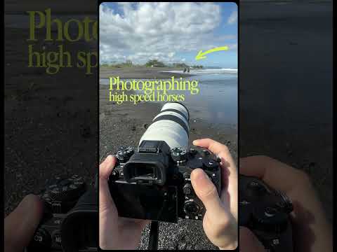 POV: Photographing high speed horses #shorts #photography