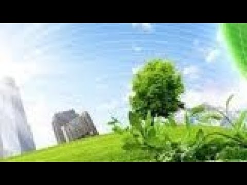 Phonk City (AI Generated Phonk Music)