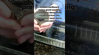 DIY Seedling Container #disabilityawareness #virtualclasses #diyproject #springadventure #onlinefun
