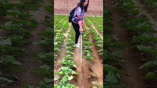 #shorts #agriculture #agritools #farming2024 #AdvanceAgriReactions