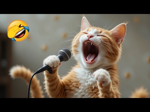 Funny animals will sure make you laugh to die 😂