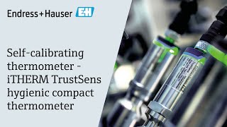 Self-calibrating thermometer - iTHERM TrustSens hygienic compact thermometer