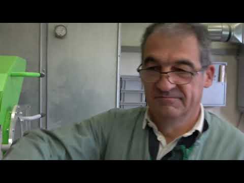 Treatment of winter wheat seeds for field trials in Switzerland