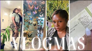 🦋 II LIVING IN HOUSTON HTX II COCKRELL BUTTERFLY CENTER II CHEAP THINGS TO DO IN HOUSTON TEXAS