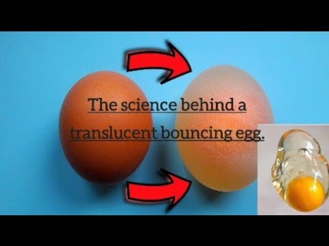 Chemistry behind a bouncy egg 🥚( thinkscience)
