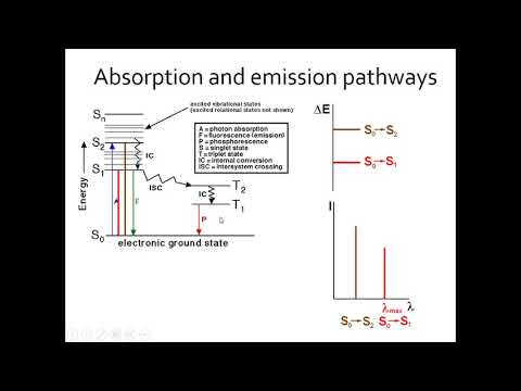 UV-Vis Spectroscopy- Semester 3 M.Sc Chemistry MG University Kottayam