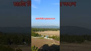 চারটা জিনিস সুভাগ্যের লক্ষণ #হাদিসের_বাণী