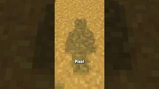 Vibrant Visuals Shader Now in Java Minecraft?!
