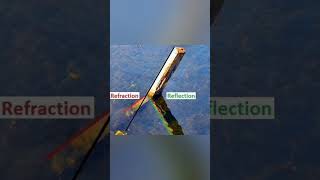 Difference between refraction and reflection in physics