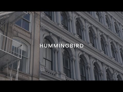 Michelle Alonso - Hummingbird (Lyric Video)