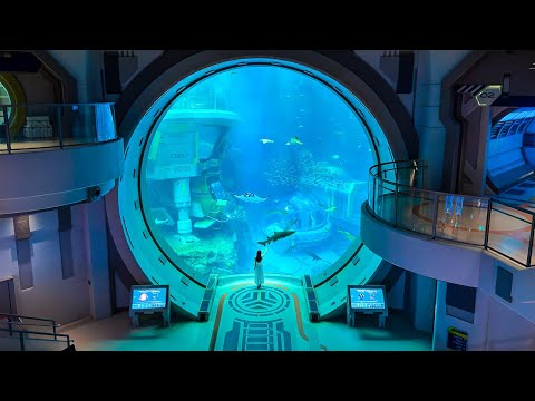 SeaWorld Abu Dhabi, World's Largest Aquarium (4K Full Tour)