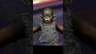 Imagination Unleashed – encourages creativity and wonder #preschoolsong #kidsong #kidsentertainment