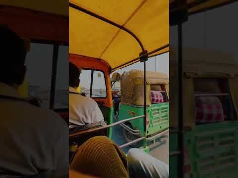 Roz roz - The Yellow Diary’s #rozroz #music #songs #musicvideo #shorts #short #songstatus #romantics