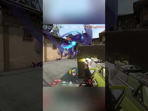 Aura +999.999.999