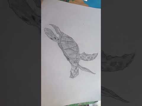 turtle sketch/Sketchking#short