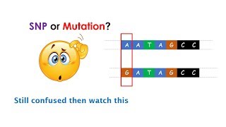Difference between SNP and Mutation? Clear the differences between two