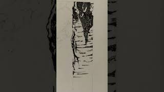 Draw Like a Pro: BIRCH TREE Bark with Pen & Ink #drawing #treedrawing #penart