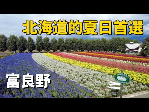 富良野｜北海道的夏日首選｜多彩的薰衣草世界 #北海道