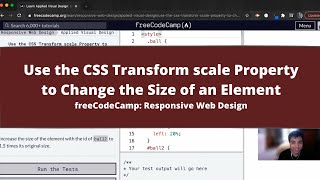 Use the CSS Transform scale Property to Change the Size of an Element (Applied Visual Design)
