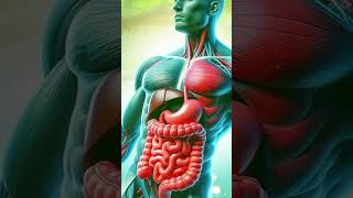 Top 7 Foods for Building Muscle and Burning Fat 🌎🌿 #gymfood