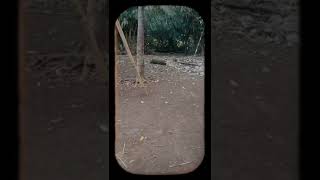 keramat #livemisteri #shorts