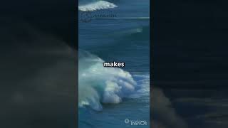 About Ocean Waves |#OceanWaves #Waves #MarineScience #Oceanography #SurferLife #Tsunamis #TidalWaves