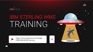 IBM Sterling WMS Training – IBM Sterling WMS Online Training (IBM Sterling WMS Certification Tips)