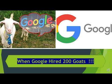 When Google hired Goats ( & I am not kidding)