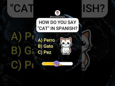 Master Spnaish the Fun Way: Try these Quizzes!  #LearnSpanish #SpanishQuiz #LanguageLearning