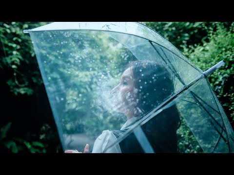 Symphony of the Rain - A Calm and Soothing Song for Relaxation
