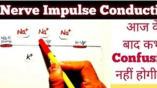Nerve impulse conduction #class11 #biology #neetlectures