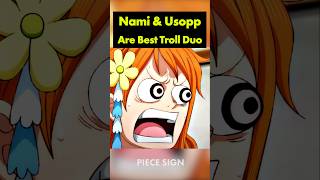 Nami and Usopp are the ultimate troll duo