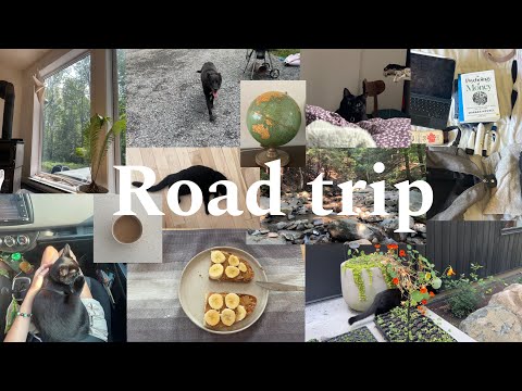Daily Diary: Little road trip to Sutton | beach, nature and vibes :)
