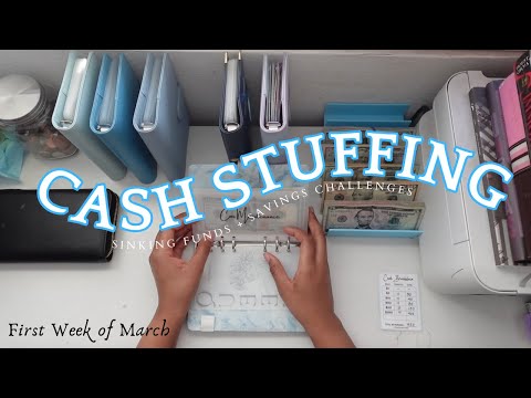 Cash Stuffing First week of march 2025