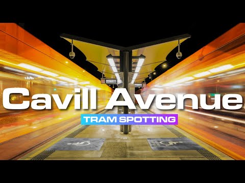 Cavill Avenue Tram Spotting.