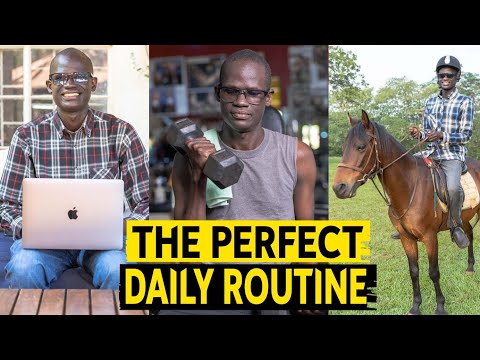 My Daily Routine For Maximum Productivity And Creativity