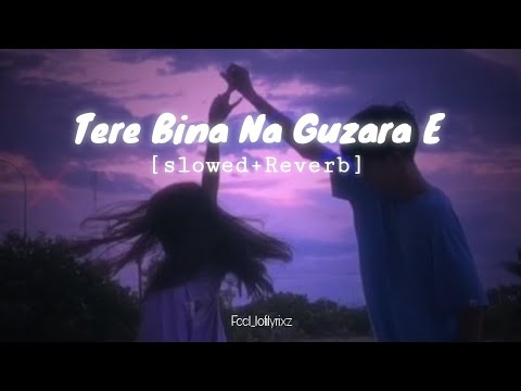 Tere Bina Na Guzara E | [Slowed & Reverb] Full Song | Feel_lofilyrixz
