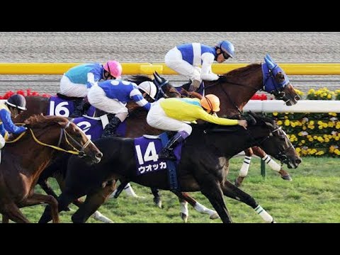 運命のライバル対決！　ウオッカvsダイワスカーレット　4番勝負！