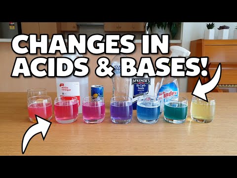 How to make the Red Cabbage pH Indicator!