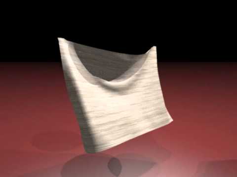 A Simple Cloth Simulation