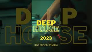 Melodic deep house mix 2023