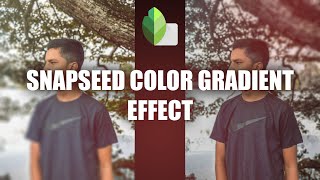 Snapseed | Color Gradient Effect | Sinhala Photo Editing Tutourial