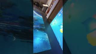 2023 interactive floor projection system with 90 different interactive effects