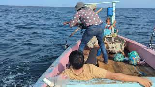 King Fish Fishing | Karachi Fishing  | #shorts #charnaislandfishing #fishing #karachifish