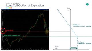 Profit Price Chart for Options Analysis